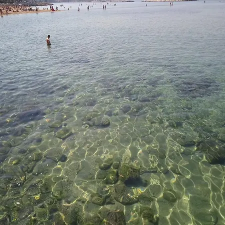 Afrodite Bari